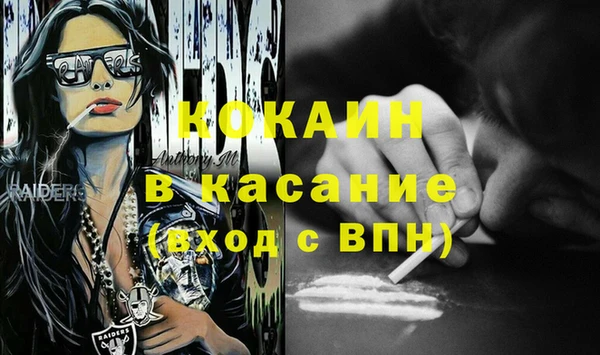 шишки Абинск