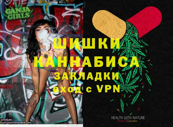 шишки Абинск