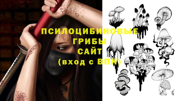 СК Абдулино