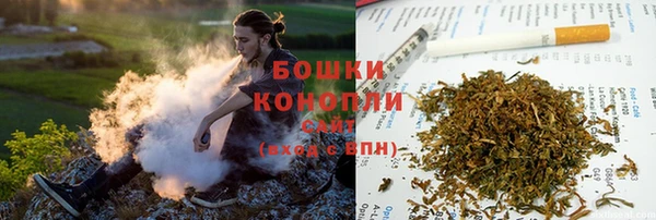 шишки Абинск