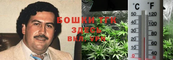 мяу мяу мука Абаза