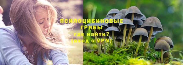 мяу мяу мука Абаза