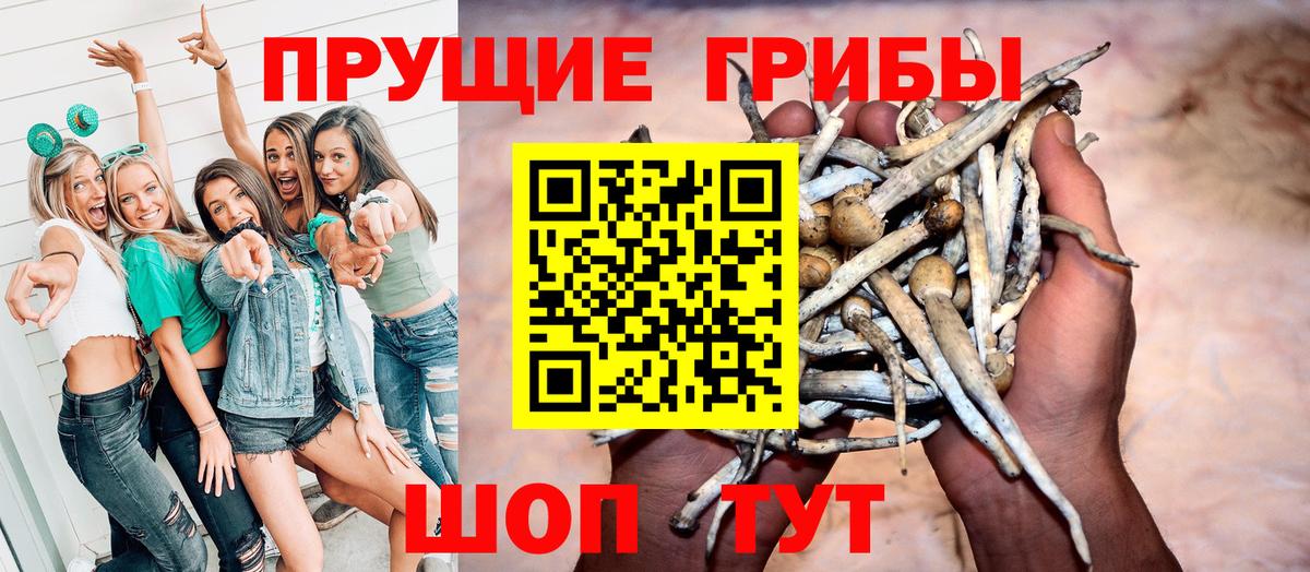 Псилоцибиновые грибы Magic Shrooms  Псилоцибиновые грибы GOLDEN TEACHER  Вход с VPN  Хабаровск 