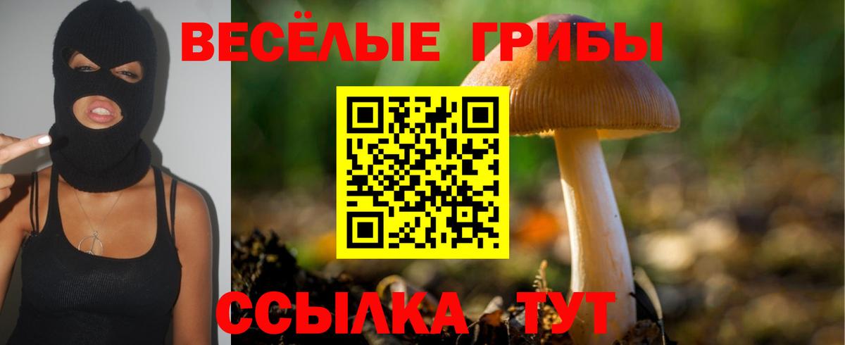 Галлюциногенные грибы Magic Shrooms Хабаровск